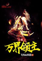 文明之万界领主作者