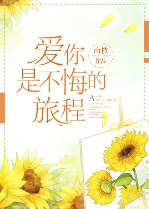 爱你是不悔的旅程by南枝剧透