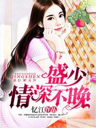 盛少情深不晚大结局