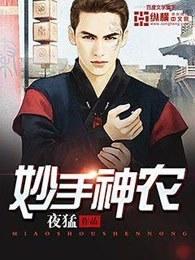 妙手神农免费阅读