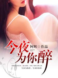 今夜为你醉DJ版