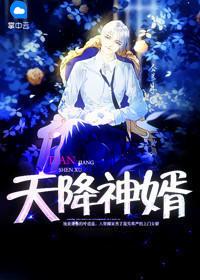 天降神婿完整版免费阅读